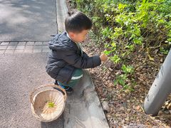 -西双版纳安纳塔拉度假酒店