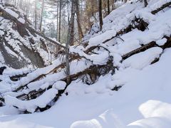 -峡谷浮石林景区
