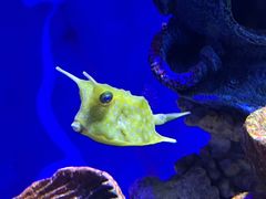 -绿色星球动物主题公园