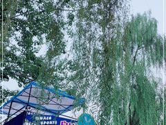 -WhaleSports户外水上运动俱乐部(朝阳公园店)