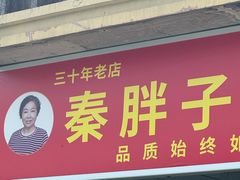 -秦胖子肉陀良心店