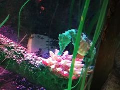 -沈阳海洋探索中心