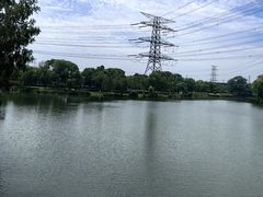 -九里河湿地公园