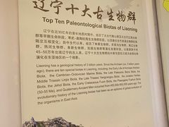 -辽宁古生物博物馆