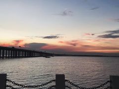 -宝安西湾红树林湿地公园