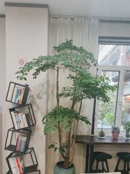 -加减美医美连锁品牌