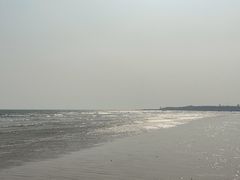 -日照海滨国家森林公园