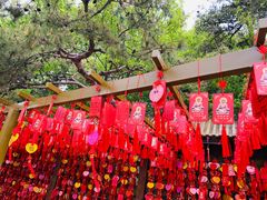 -石岛赤山风景区