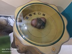 -上海昆虫博物馆