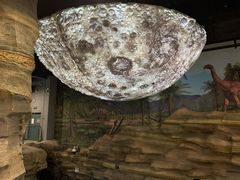 -辽宁古生物博物馆