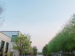 -北京国家会计学院