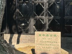 -黄桥古镇