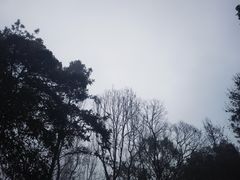 -杭州植物园