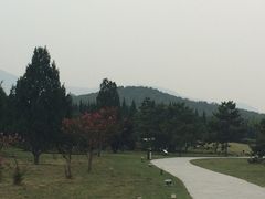 -秦始皇帝陵博物院-丽山园