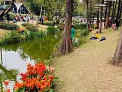 -人民公园(罗湖区)