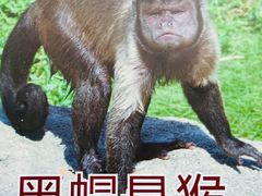 -常州淹城野生动物世界