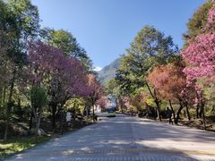 -天龙八部武侠城