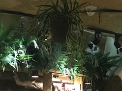 -大灰狼(中心书城店)