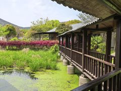 -西山人家·二十年老字号农家菜(旺山店)