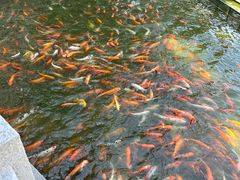 -广东圆玄道观