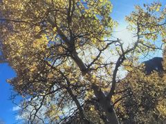 -苏州青少年科技馆