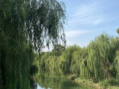 -赵州桥景区