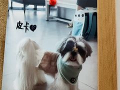 -爱诺耐芙动物医院(万博店)