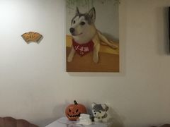 -Husky Go! 哈士奇体验馆·宠物咖啡厅狗咖