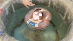 点击看大图 -馨月汇·一悦馨香月子中心(前滩店)