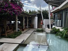 -大理老字号·舟渔的鱼野生菌海景餐厅(双廊店)