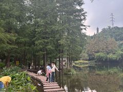 -重庆彩云湖湿地公园