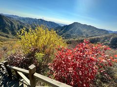 -大岭沟猕猴桃谷风景区