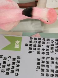 -杨丹国际美学肌研所