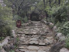 -阳台山自然风景区