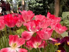 -石家庄市植物园
