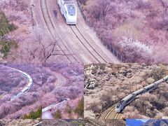 -居庸关长城
