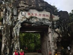 -莫里热带雨林景区