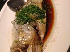 -三利音·玖弄小鲜(浦东嘉里城店)