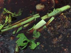 -温江公平红烧兔(总店)