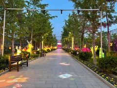 -南宫五洲植物乐园