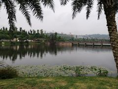 -枫香湖儿童公园