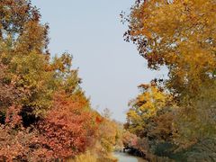 -北京西山国家森林公园