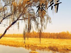 -东郊湿地公园