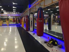 -鲨石格斗联盟(双井店)