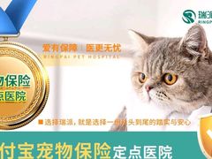 -瑞派长江宠物医院·猫科·外科·24小时夜护(谊城公寓分院)