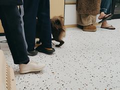 -瑞派康怡24h宠物医院·犬猫医疗中心·微创绝育(瑞景分院)