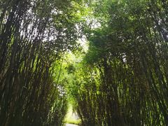 -吃不亏特色包子(三峡广场店)