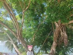 -胡里山炮台