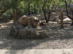 -北京野生动物园