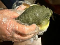 -肆月河豚·淮扬菜·湘菜(华天店)